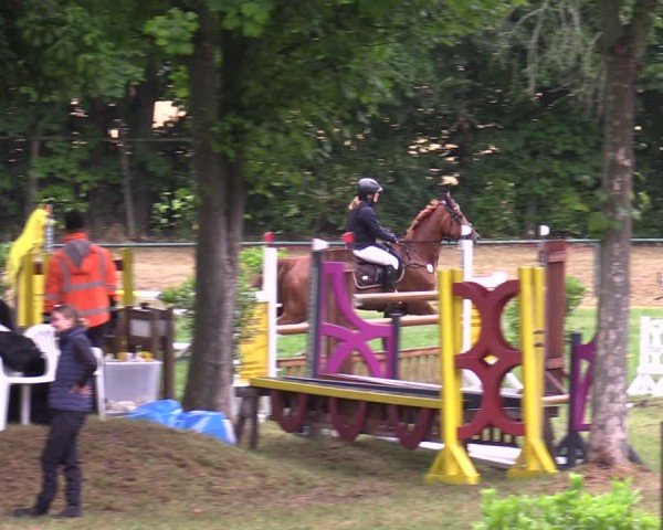 Reitturnier Limbach-Oberfrohna 2025