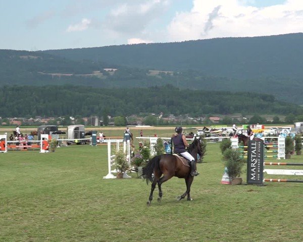 Reitturnier Büren an der Aare 2025