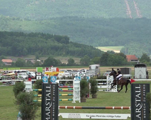 Reitturnier Büren an der Aare 2025