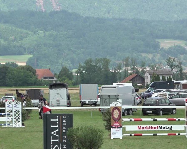 Reitturnier Büren an der Aare 2025