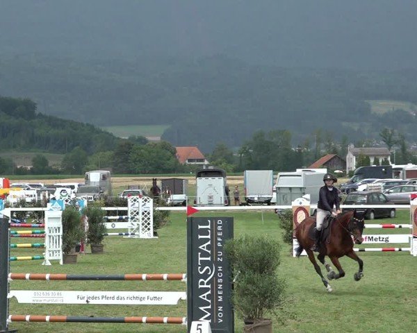 Reitturnier Büren an der Aare 2025