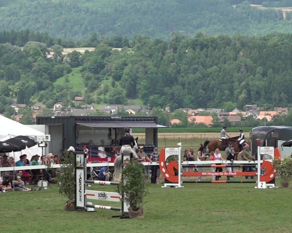 Reitturnier Büren an der Aare 2025