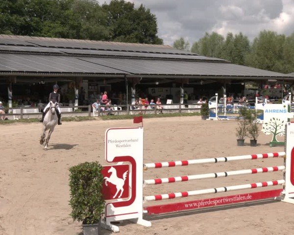 Reitturnier Münster-Roxel 2025
