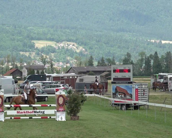 Reitturnier Büren an der Aare 2025