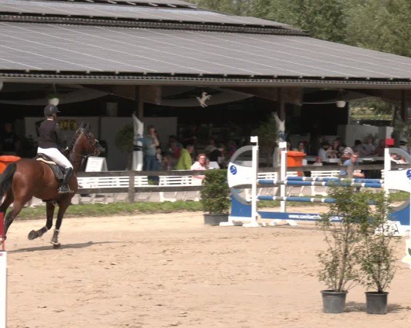 Reitturnier Münster-Roxel 2025