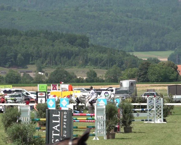 Reitturnier Büren an der Aare 2025