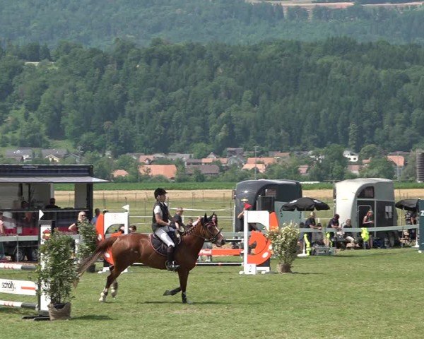 Reitturnier Büren an der Aare 2025
