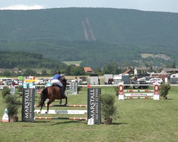 Reitturnier Büren an der Aare 2025