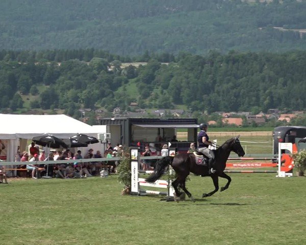 Reitturnier Büren an der Aare 2025