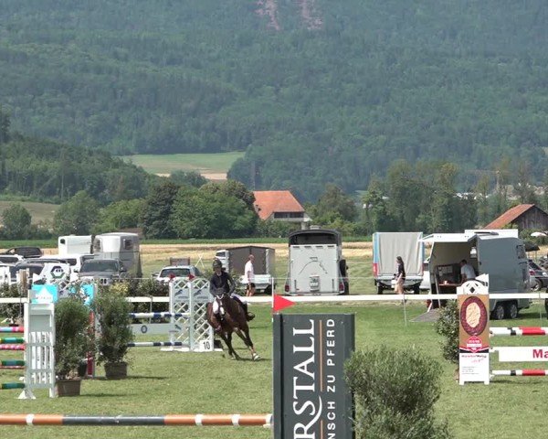Reitturnier Büren an der Aare 2025