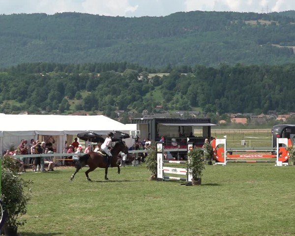 Reitturnier Büren an der Aare 2025