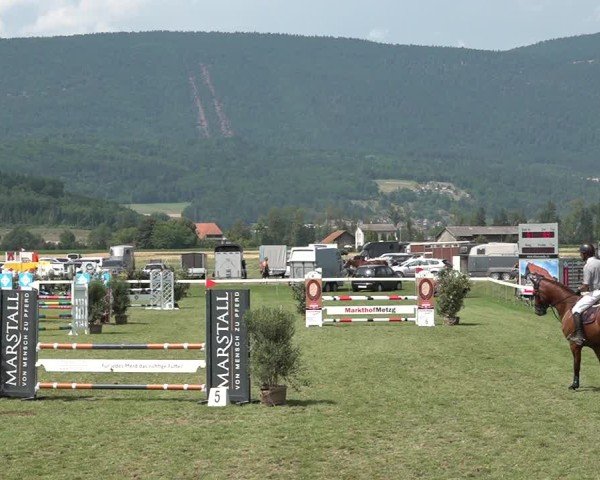 Reitturnier Büren an der Aare 2025