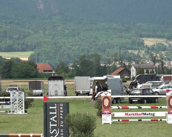 Reitturnier Büren an der Aare 2025