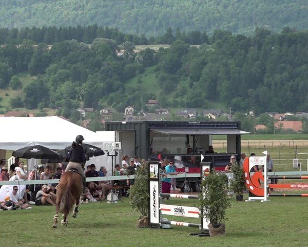 Reitturnier Büren an der Aare 2025