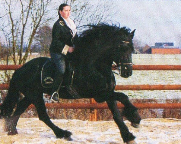stallion Ildert (Friese, 1994, from Gerlof 294)