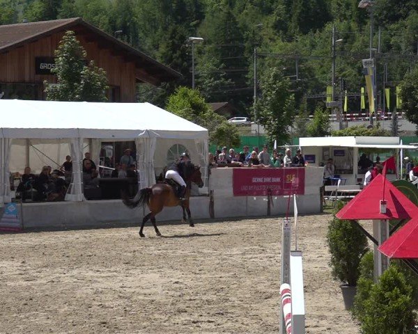 Reitturnier Kandersteg 2025