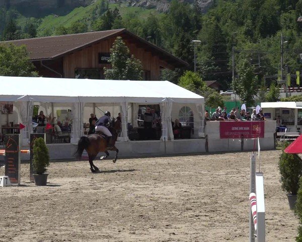 Reitturnier Kandersteg 2025