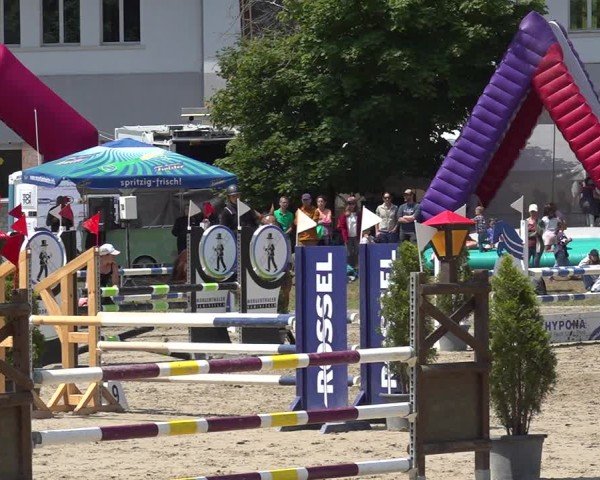Reitturnier Kandersteg 2025