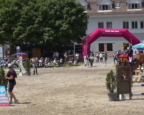 Reitturnier Kandersteg 2025