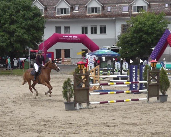 Reitturnier Kandersteg 2025