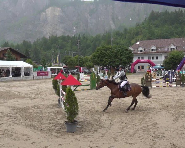 Reitturnier Kandersteg 2025