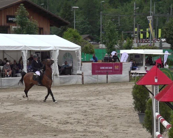 Reitturnier Kandersteg 2025