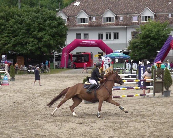 Reitturnier Kandersteg 2025