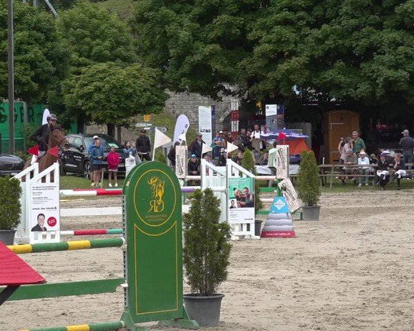 Reitturnier Kandersteg 2025