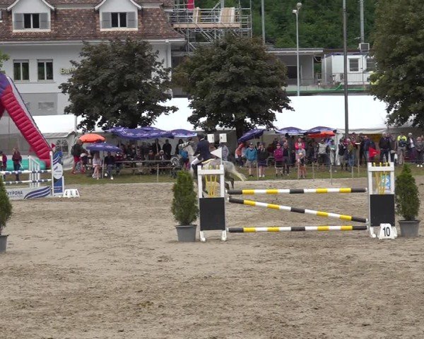 Reitturnier Kandersteg 2025