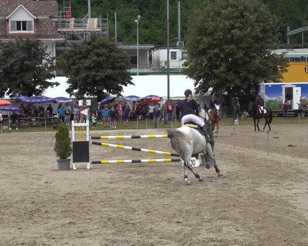 Reitturnier Kandersteg 2025