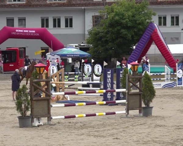 Reitturnier Kandersteg 2025