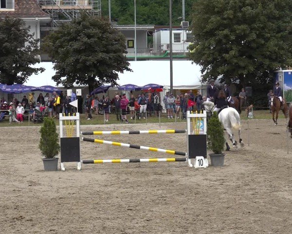 Reitturnier Kandersteg 2025