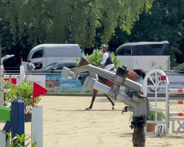 Video von Lavine Mail VDL