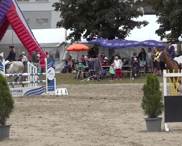 Reitturnier Kandersteg 2025