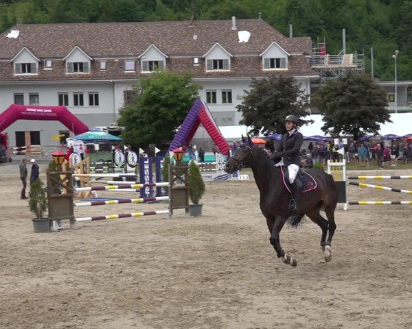 Reitturnier Kandersteg 2025