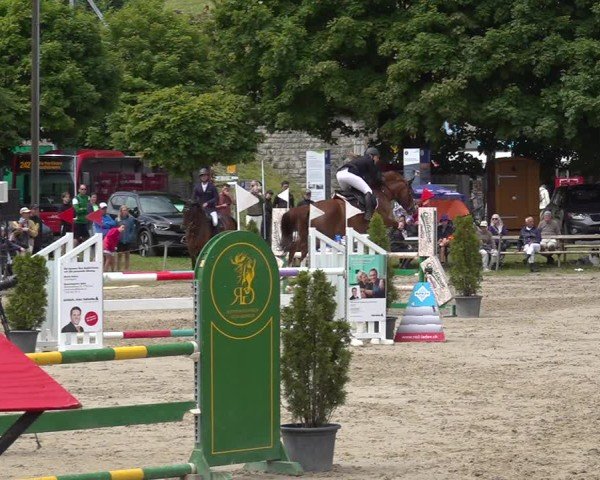 Reitturnier Kandersteg 2025