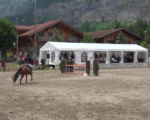 Reitturnier Kandersteg 2025