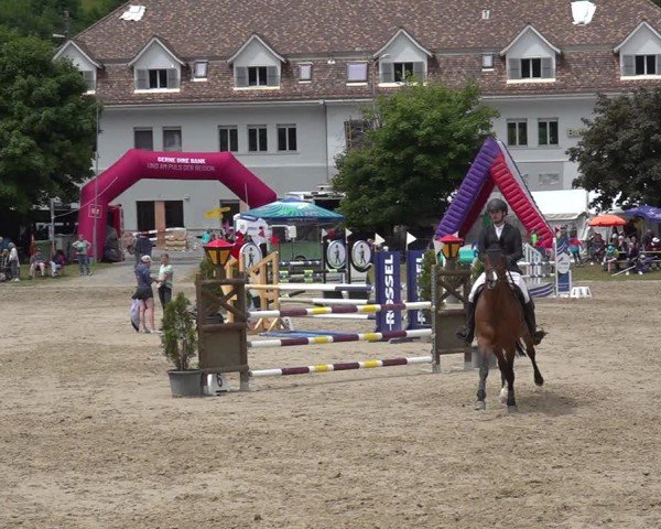 Reitturnier Kandersteg 2025