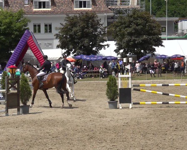 Reitturnier Kandersteg 2025