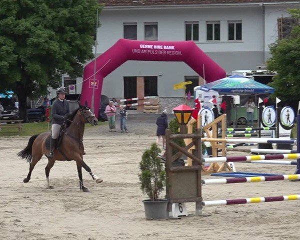 Reitturnier Kandersteg 2025