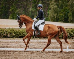 broodmare Nachtigall (German Sport Horse, 2016, from Millepoint)