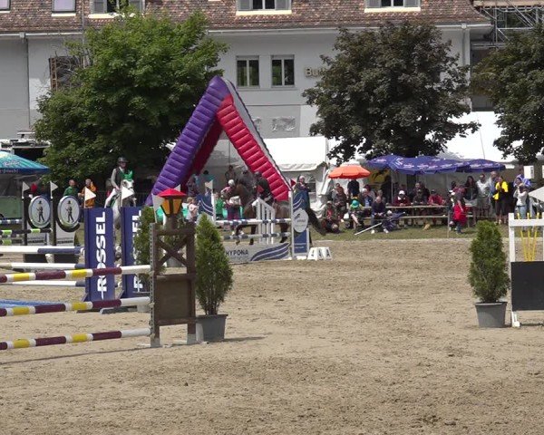 Reitturnier Kandersteg 2025