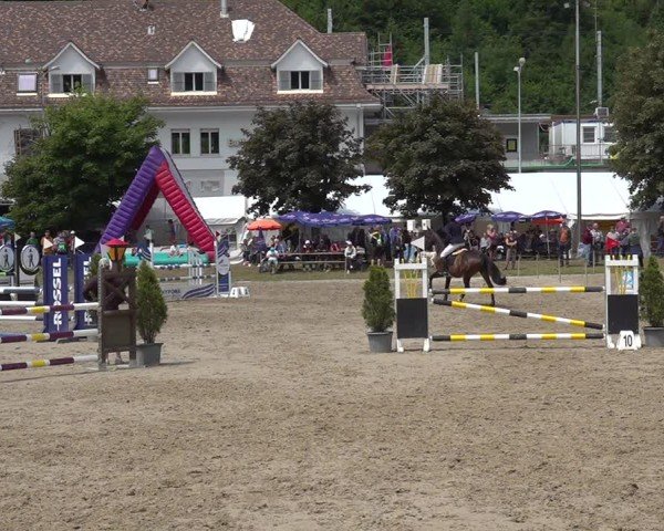 Reitturnier Kandersteg 2025