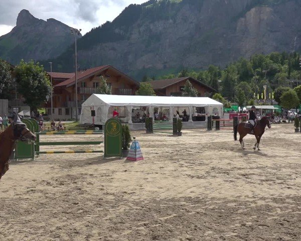 Reitturnier Kandersteg 2025