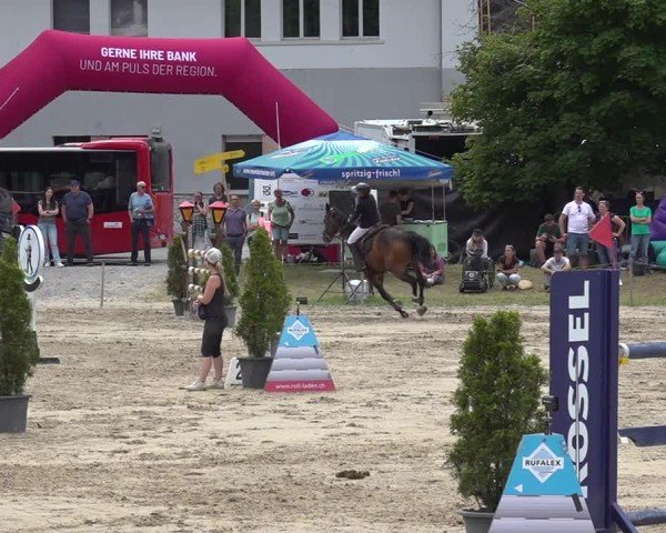 Reitturnier Kandersteg 2025