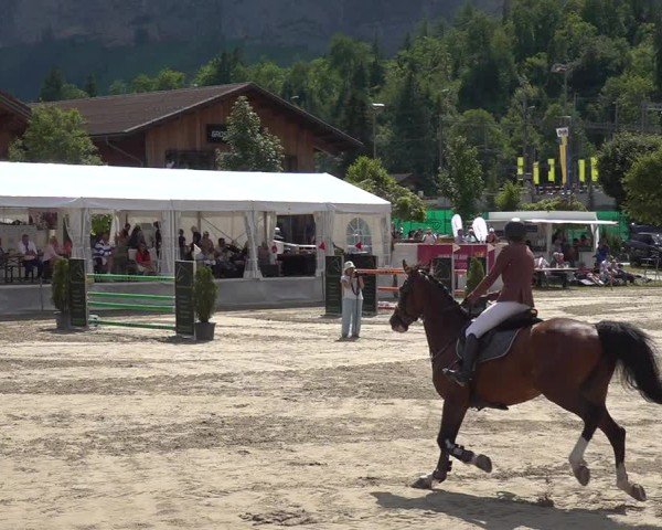 Reitturnier Kandersteg 2025