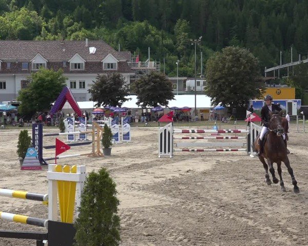 Reitturnier Kandersteg 2025