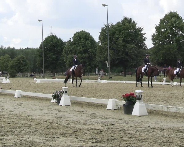 Reitturnier Münster-Roxel 2025
