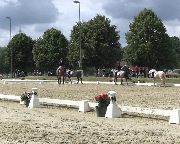 Reitturnier Münster-Roxel 2025