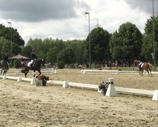 Reitturnier Münster-Roxel 2025